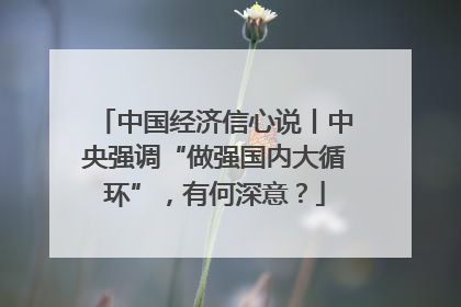 中国经济信心说丨中央强调“做强国内大循环”，有何深意？