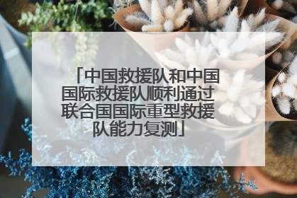 中国救援队和中国国际救援队顺利通过联合国国际重型救援队能力复测