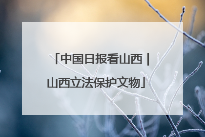 中国日报看山西｜山西立法保护文物