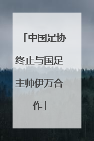中国足协终止与国足主帅伊万合作
