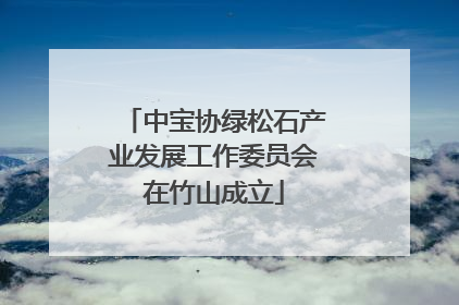 中宝协绿松石产业发展工作委员会在竹山成立