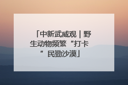 中新武威观｜野生动物频繁“打卡”民勤沙漠