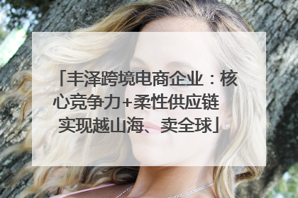 丰泽跨境电商企业：核心竞争力+柔性供应链 实现越山海、卖全球