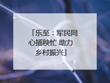 乐至：军民同心插秧忙 助力乡村振兴