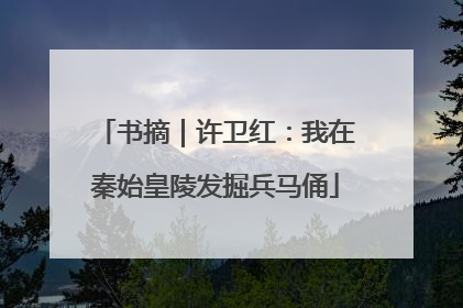 书摘｜许卫红：我在秦始皇陵发掘兵马俑