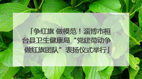 争红旗 做模范！淄博市桓台县卫生健康局“党建带动争做红旗团队”表扬仪式举行