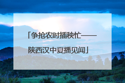 争抢农时插秧忙——陕西汉中夏播见闻