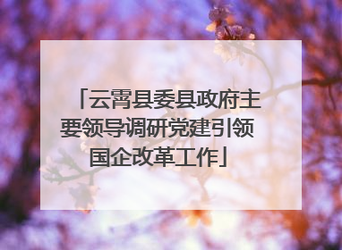 云霄县委县政府主要领导调研党建引领国企改革工作