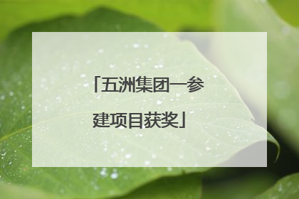 五洲集团一参建项目获奖