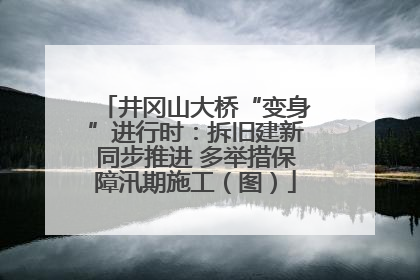 井冈山大桥“变身”进行时：拆旧建新同步推进 多举措保障汛期施工（图）