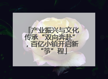 产业振兴与文化传承“双向奔赴”，百亿小镇开启新“筝”程
