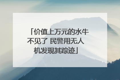 价值上万元的水牛不见了 民警用无人机发现其踪迹