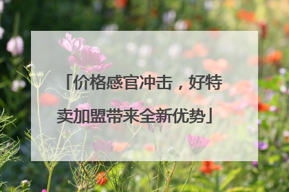 价格感官冲击，好特卖加盟带来全新优势