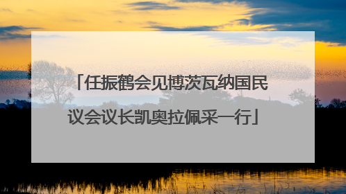 任振鹤会见博茨瓦纳国民议会议长凯奥拉佩采一行