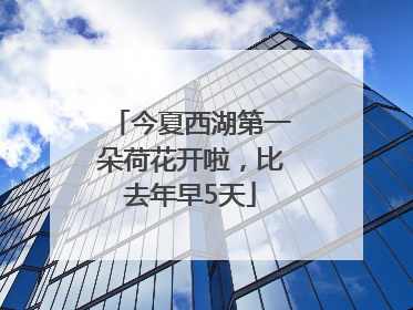 今夏西湖第一朵荷花开啦，比去年早5天