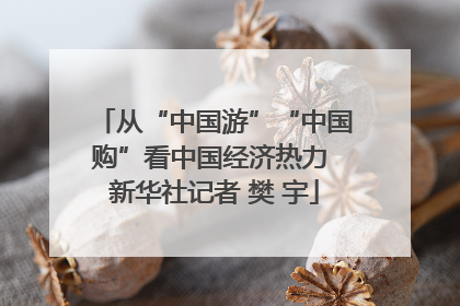 从“中国游”“中国购”看中国经济热力 新华社记者 樊 宇