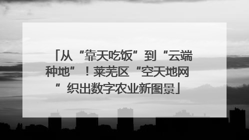 从“靠天吃饭”到“云端种地”！莱芜区“空天地网”织出数字农业新图景