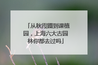 从秋霞圃到课植园，上海六大古园林你都去过吗