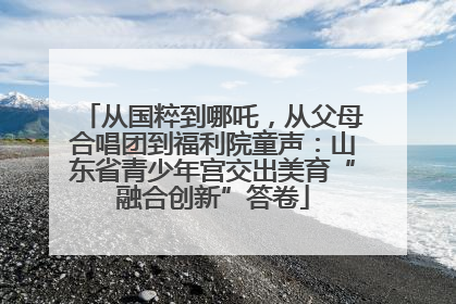 从国粹到哪吒，从父母合唱团到福利院童声：山东省青少年宫交出美育“融合创新”答卷