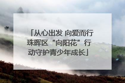 从心出发 向爱而行 珠晖区“向阳花”行动守护青少年成长