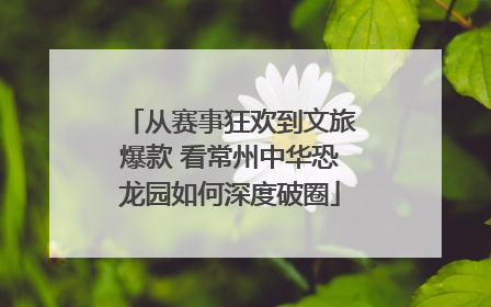 从赛事狂欢到文旅爆款 看常州中华恐龙园如何深度破圈