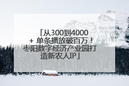 从300到4000+ 单条播放破百万！枣阳数字经济产业园打造新农人IP