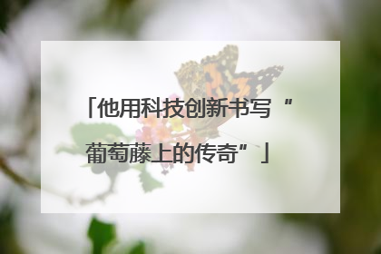 他用科技创新书写“葡萄藤上的传奇”
