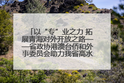 以“专”业之力 拓展青海对外开放之路——省政协港澳台侨和外事委员会助力我省高水平开放和高质量发展
