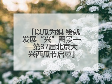 以瓜为媒 绘就发展“兴”图景——第37届北京大兴西瓜节启幕