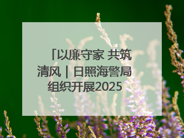 以廉守家 共筑清风|日照海警局组织开展2025年集中送廉活动