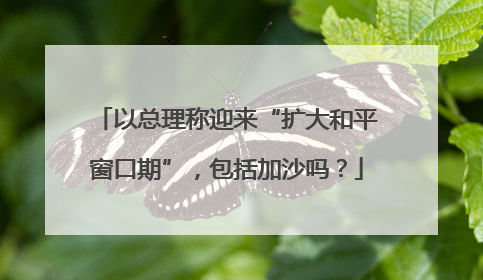 以总理称迎来“扩大和平窗口期”，包括加沙吗？