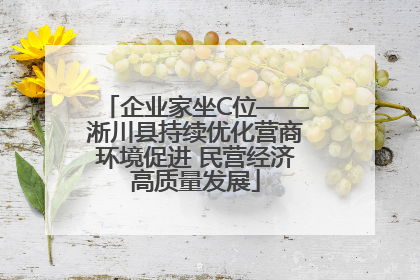 企业家坐C位——淅川县持续优化营商环境促进 民营经济高质量发展