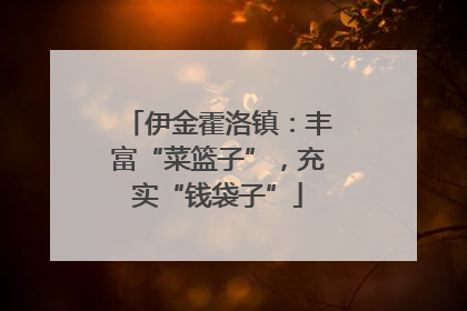 伊金霍洛镇：丰富“菜篮子”，充实“钱袋子”