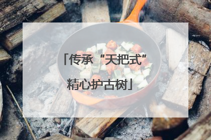传承“天把式” 精心护古树