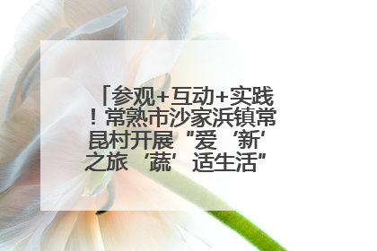 参观+互动+实践！常熟市沙家浜镇常昆村开展“爱‘新’之旅‘蔬’适生活”参观学习活动