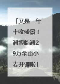 又是一年丰收盛景！淄博临淄29万余亩小麦开镰啦