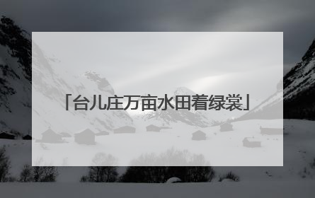 台儿庄万亩水田着绿裳
