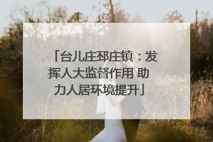 台儿庄邳庄镇：发挥人大监督作用 助力人居环境提升