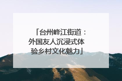 台州峰江街道：外国友人沉浸式体验乡村文化魅力