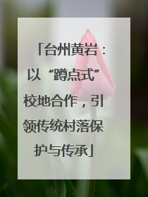 台州黄岩：以“蹲点式”校地合作，引领传统村落保护与传承