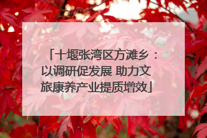 十堰张湾区方滩乡：以调研促发展 助力文旅康养产业提质增效