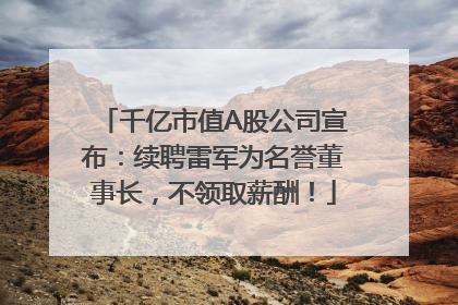 千亿市值A股公司宣布：续聘雷军为名誉董事长，不领取薪酬！
