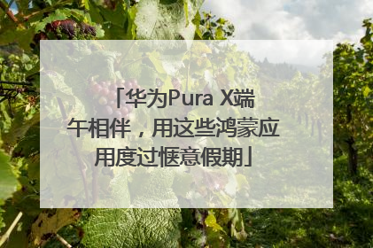 华为Pura X端午相伴，用这些鸿蒙应用度过惬意假期
