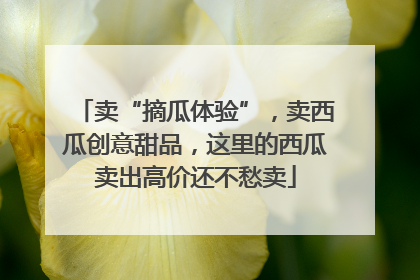 卖“摘瓜体验”，卖西瓜创意甜品，这里的西瓜卖出高价还不愁卖