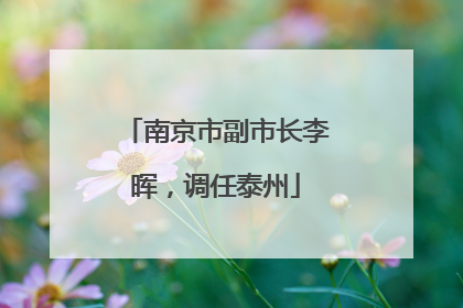 南京市副市长李晖，调任泰州