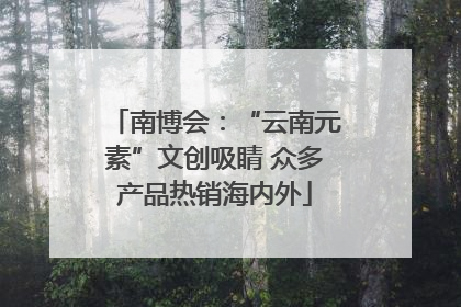 南博会：“云南元素”文创吸睛 众多产品热销海内外
