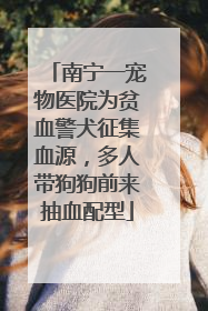 南宁一宠物医院为贫血警犬征集血源，多人带狗狗前来抽血配型