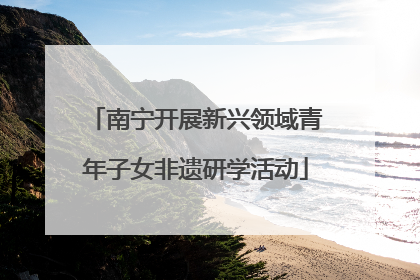 南宁开展新兴领域青年子女非遗研学活动