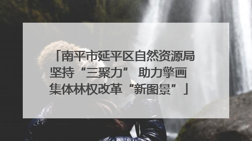 南平市延平区自然资源局坚持“三聚力” 助力擎画集体林权改革“新图景”