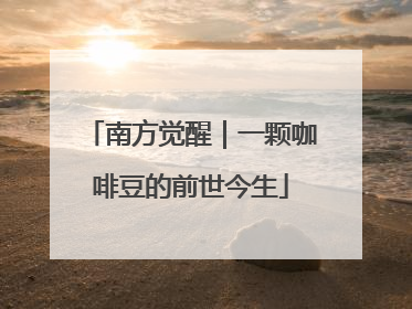 南方觉醒｜一颗咖啡豆的前世今生